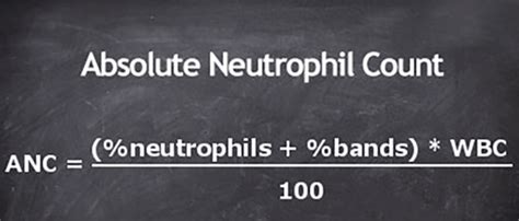 absolute wbc count calculator|Absolute Neutrophil Count (ANC) .